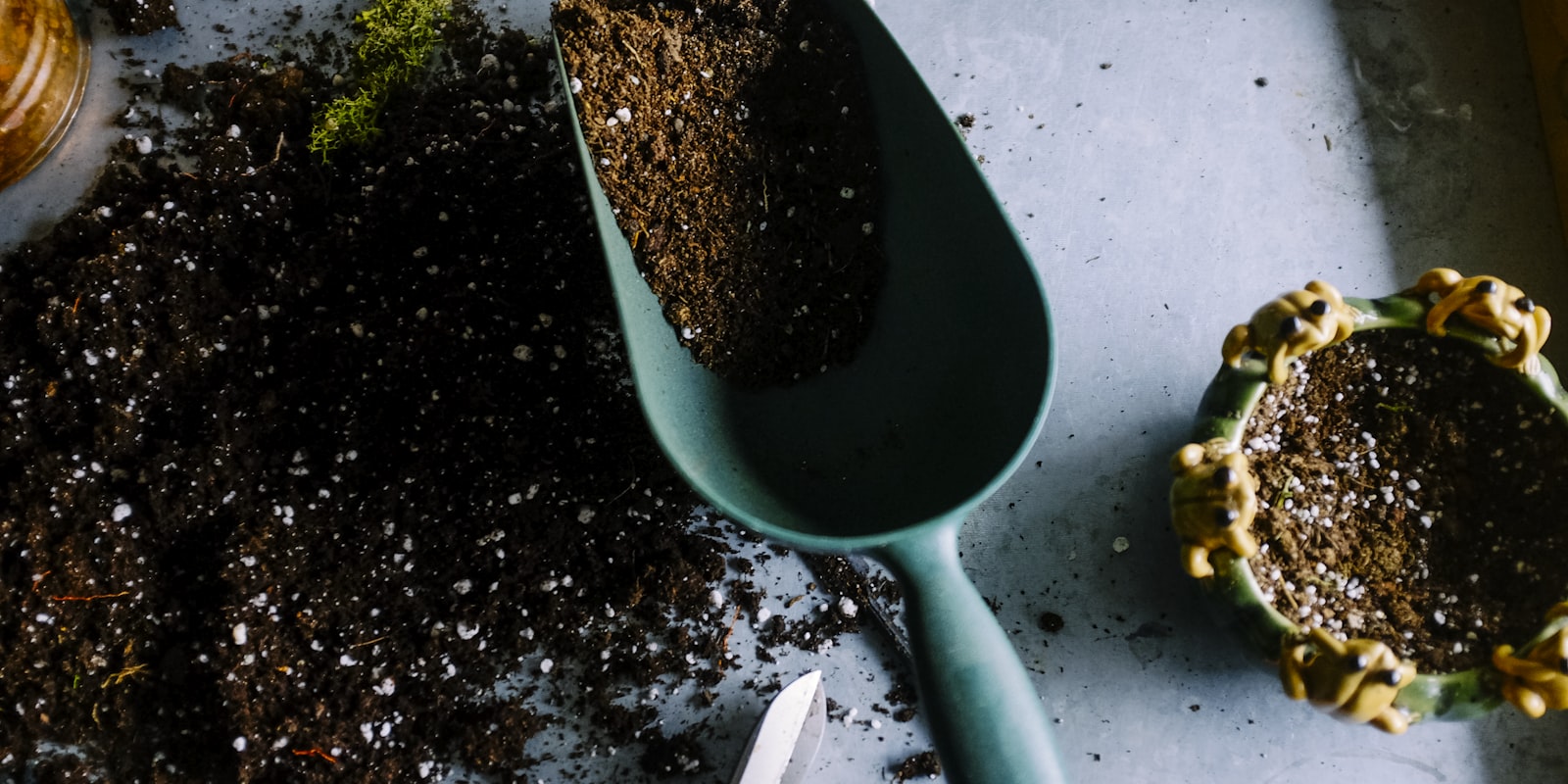 Potting soil and gardening tools on a workbench