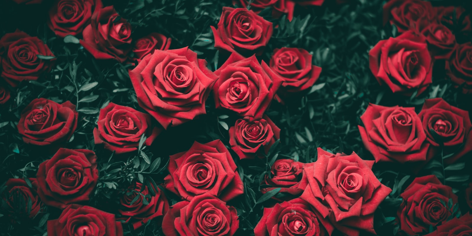 Red roses bouquet — fresh flower delivery in Lebanon