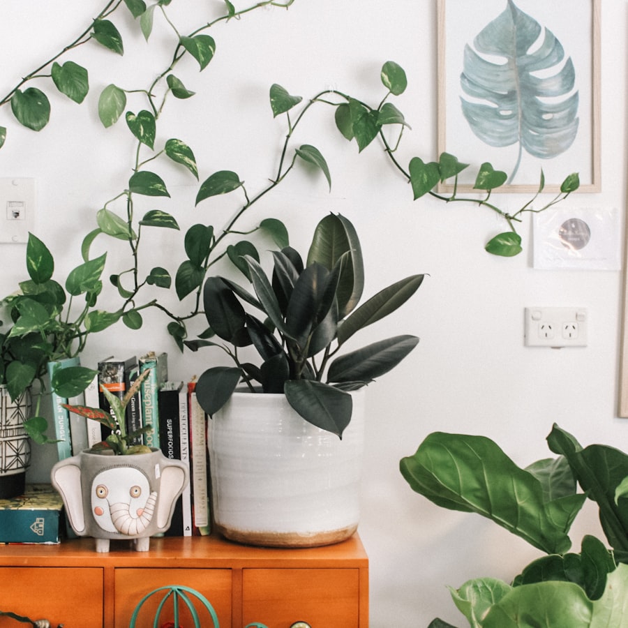 The Benefits of Indoor Plants for Mental Health