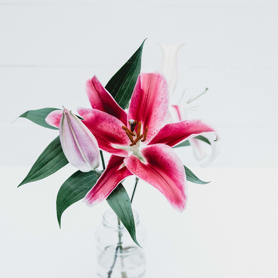 Get Well Soon flowers and gifts
